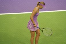 tn_IMG_0880.JPG (230x153; 6887 bytes)