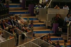 tn_IMG_0885.JPG (230x153; 11363 bytes)
